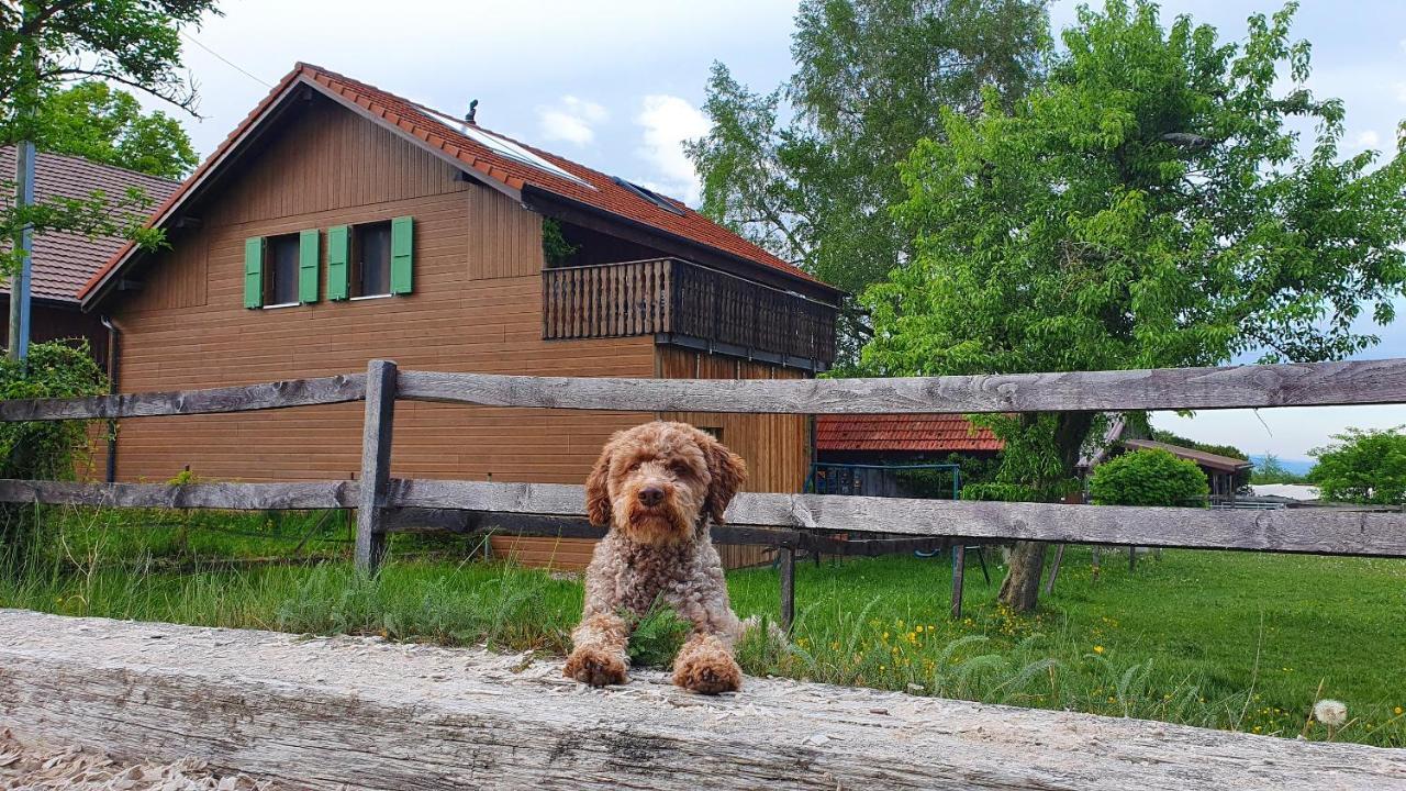 Guesthouse La Moliere, 3 Bedrooms, Private House, Horse Farm, Full Nature Murist Exterior photo