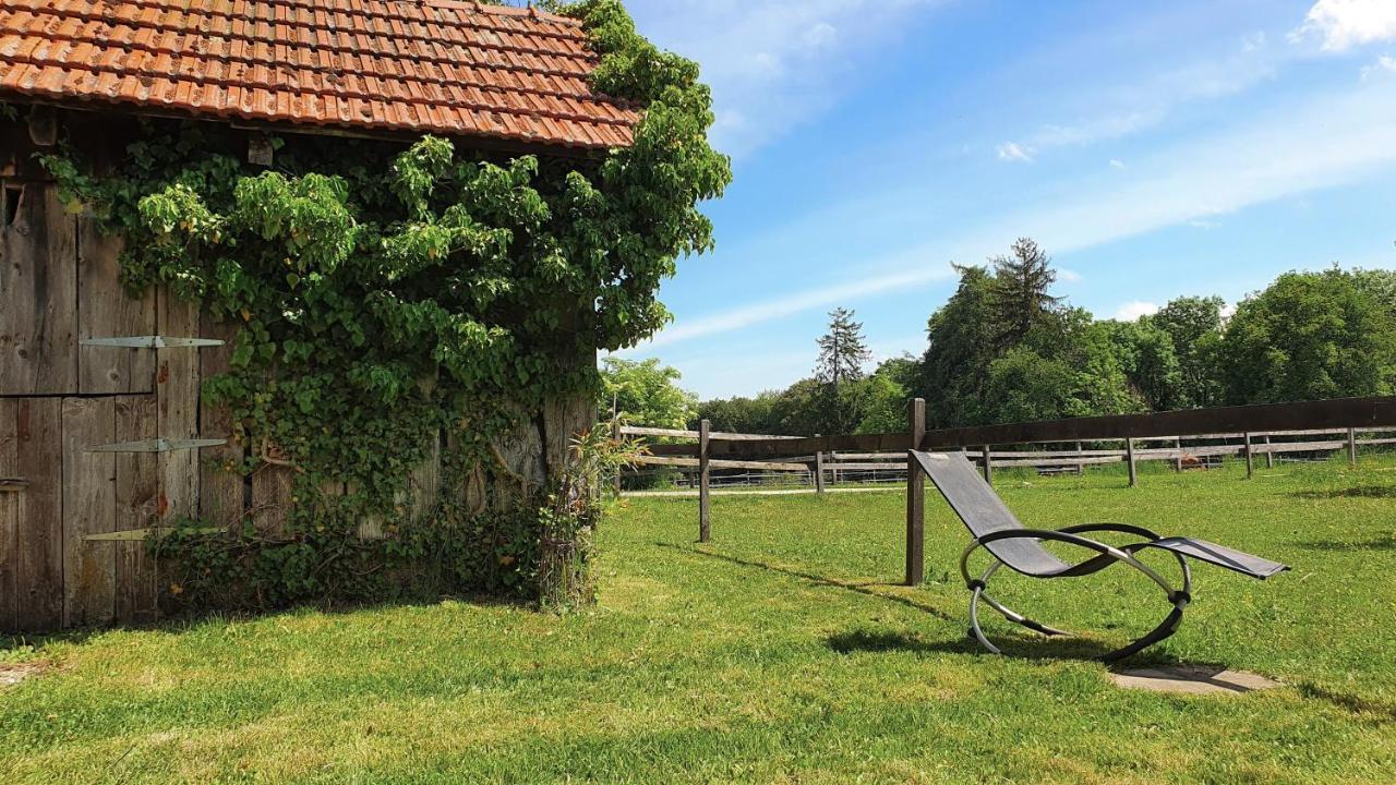 Guesthouse La Moliere, 3 Bedrooms, Private House, Horse Farm, Full Nature Murist Exterior photo