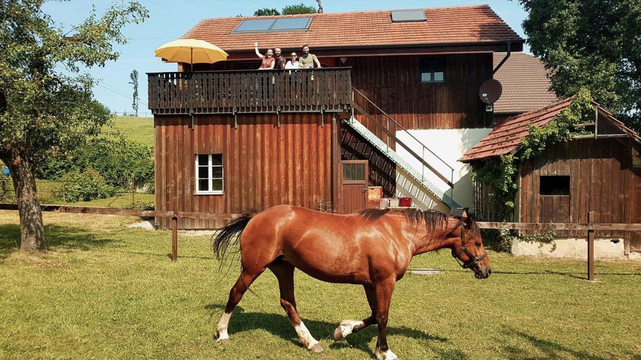 Guesthouse La Moliere, 3 Bedrooms, Private House, Horse Farm, Full Nature Murist Exterior photo